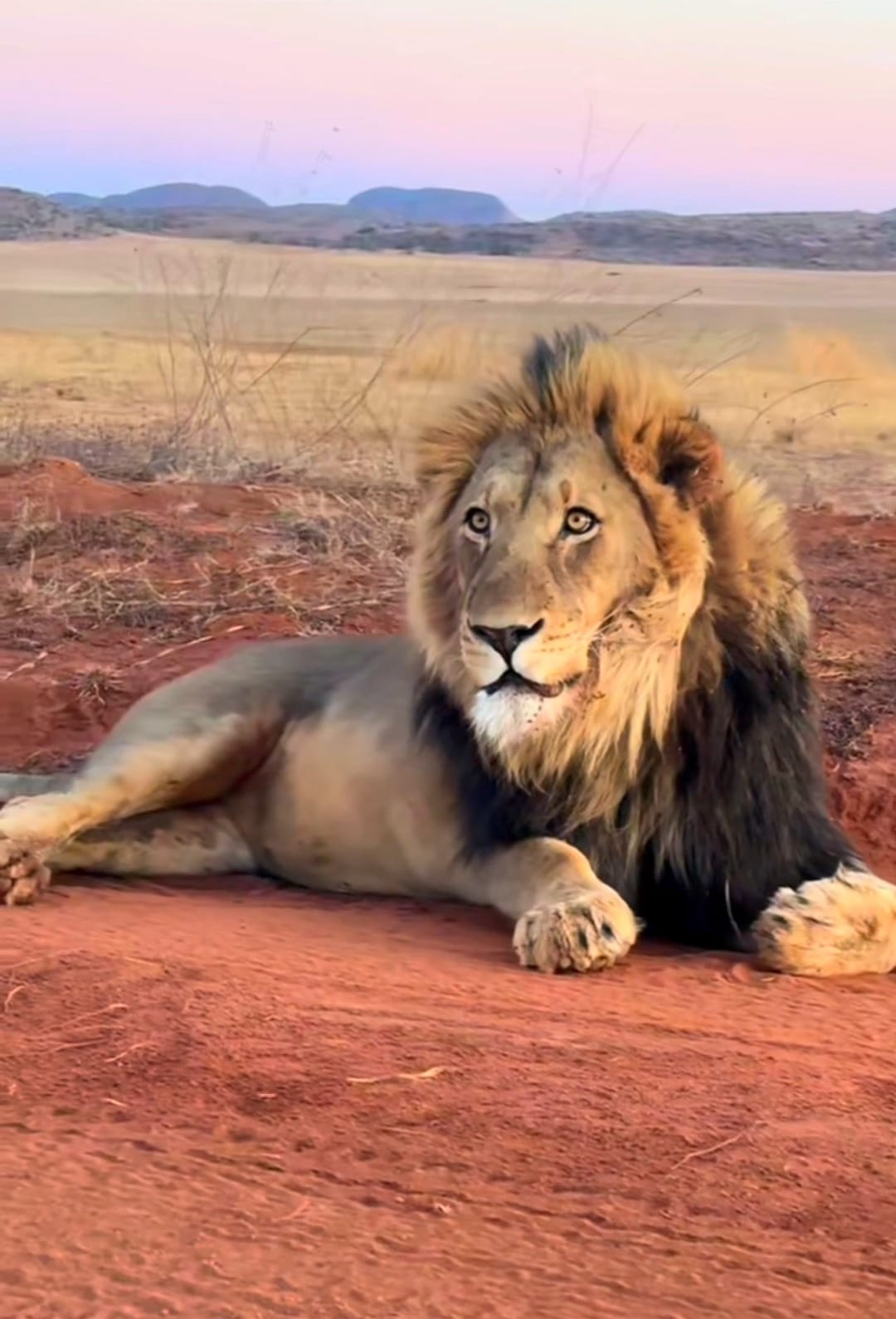 Tsavo Group Safari